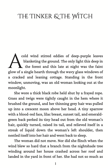 The Tinker & The Witch | A Cozy Fantasy Character Tale | Book 1